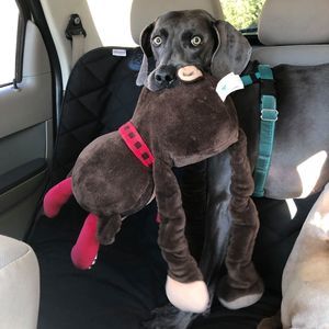 Meet your Posher, Terry